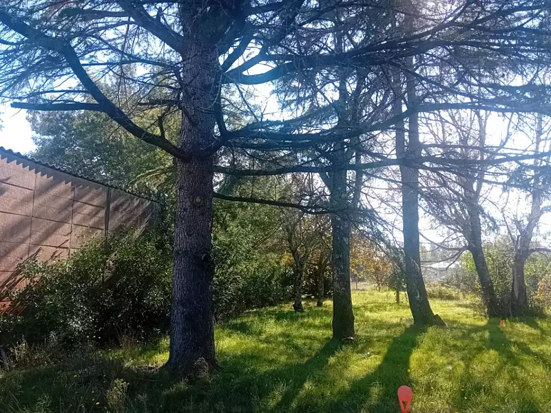 Terrain à bâtir, 730 m² - La Teste-de-Buch (33260)