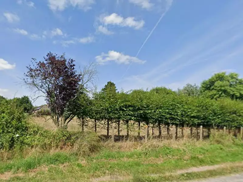 Terrain à bâtir, 711 m² - Mozé-sur-Louet (49610)