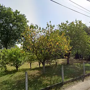 Terrain à bâtir, 523 m²