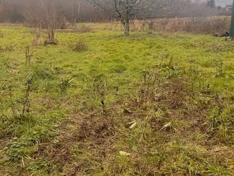 Terrain à bâtir, 650 m² - Rions (33410)