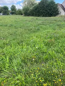 Maison neuve, 80 m²