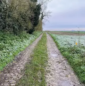 Terrain à bâtir, 289 m²