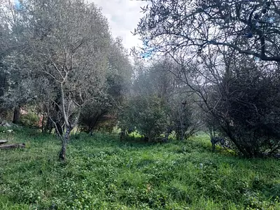 Terrain à bâtir, 970 m²