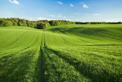 Terrain à bâtir, 537 m²