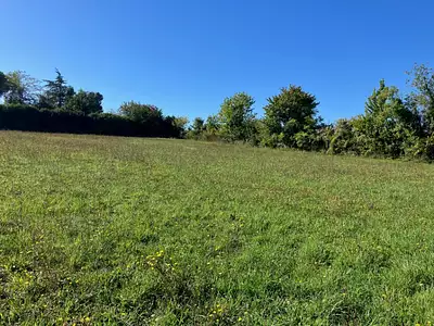 Maison neuve, 60 m²