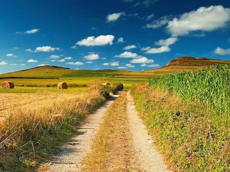 Maison neuve, 71 m² - Albussac (19380)