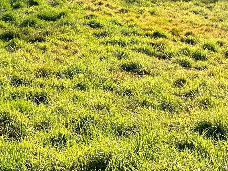 Terrain à bâtir, 500 m² - Seyresse (40180)