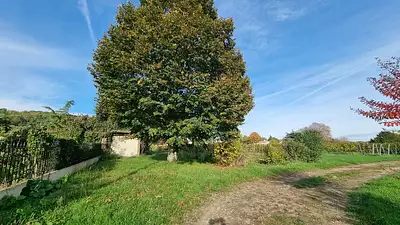 Terrain à bâtir, 877 m²