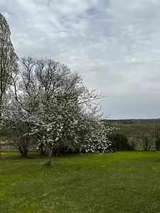 Maison neuve, 80 m²
