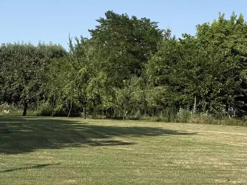 Terrain à bâtir, 980 m² - Lignan-de-Bazas (33430)