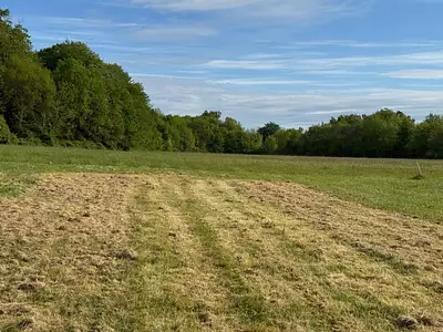 Maison neuve, 80 m²