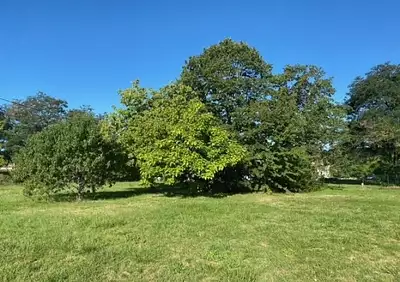 Terrain à bâtir, 487 m²