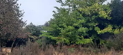 Terrain à bâtir, 360 m²