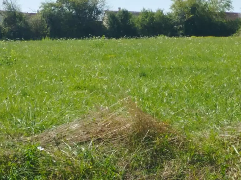 Terrain à bâtir, 4 000 m² - Allériot (71380)