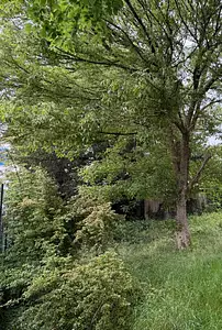 Maison neuve, 110 m²