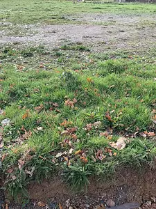 Maison neuve, 85 m²