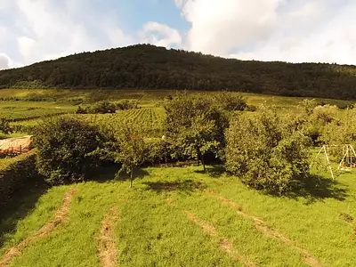 Maison neuve, 115 m²