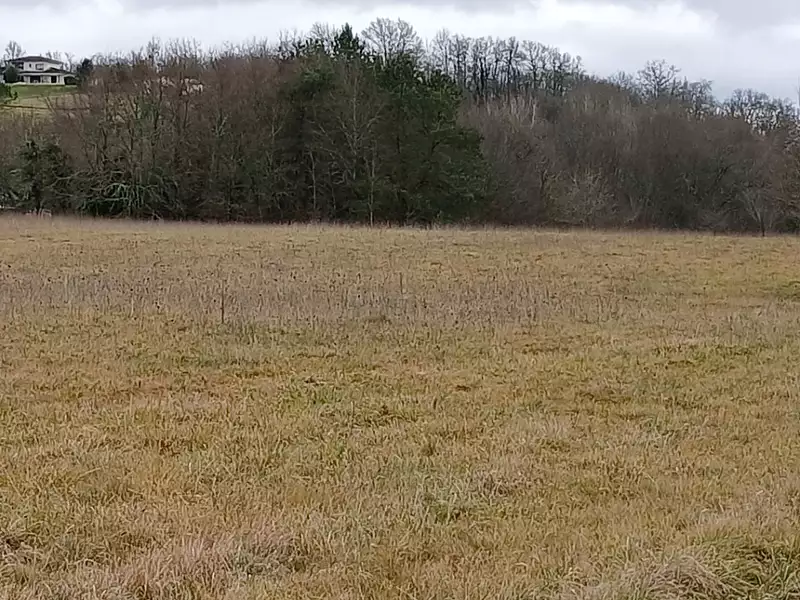 Terrain à bâtir, 1 028 m² - Verteillac (24320)