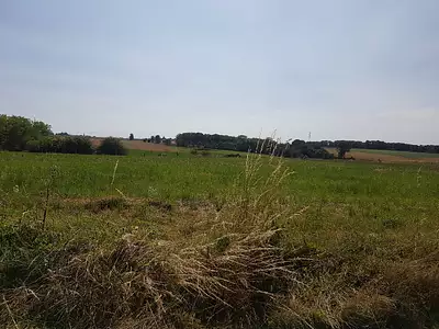 Maison neuve, 90 m²