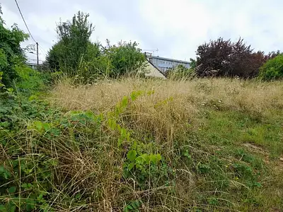 Maison neuve, 79 m²