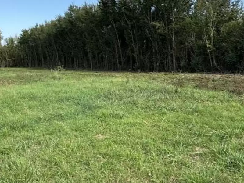 Terrain à bâtir, 582 m² - Escamps (89240)