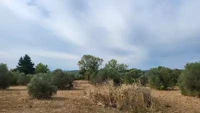 Terrain à bâtir, 2 500 m²