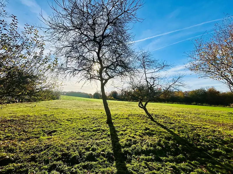 Terrain à bâtir, 322 m² - Les Chapelles-Bourbon (77610)