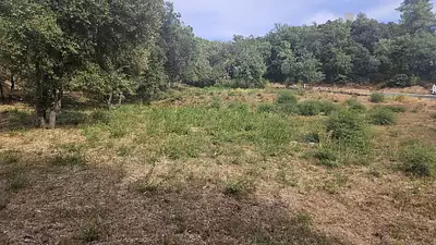 Terrain à bâtir, 800 m²