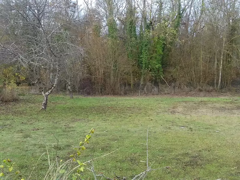 Maison neuve, 74 m² - Boiscommun (45340)