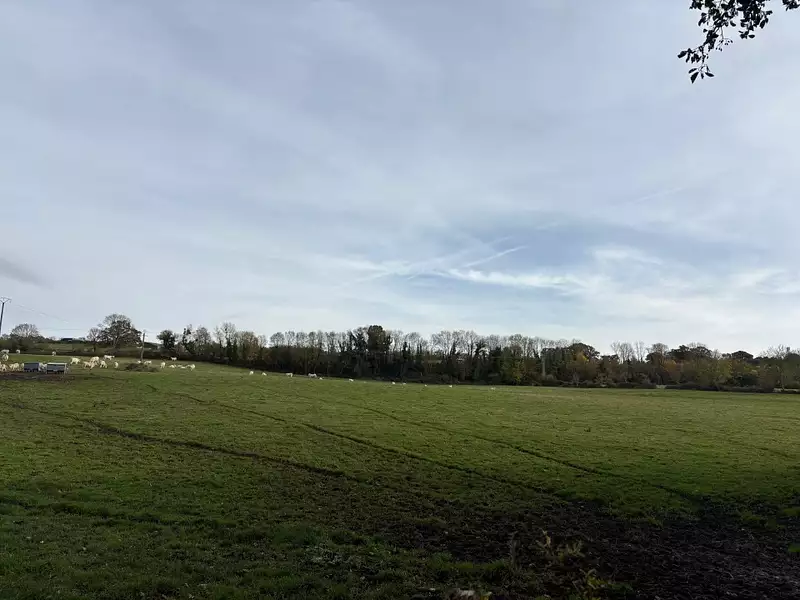 Terrain à bâtir, 545 m² - Villers-sur-Mer (14640)