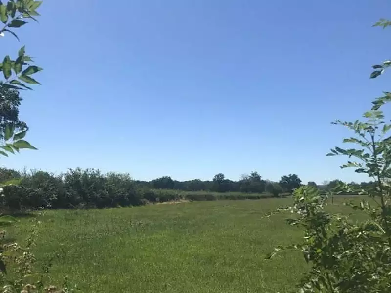 Terrain à bâtir, 1 500 m² - Vitry-en-Charollais (71600)