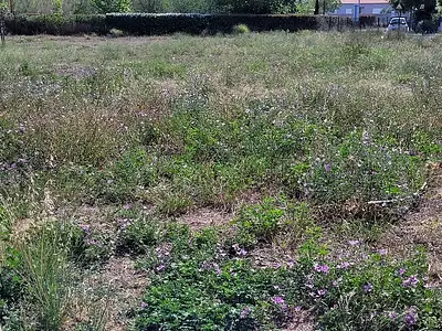 Terrain à bâtir, 525 m²