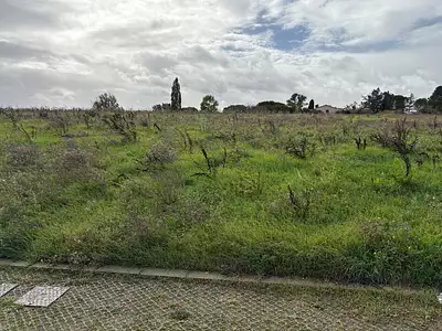 Maison neuve, 120 m²