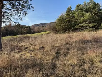Terrain à bâtir, 1 142 m²