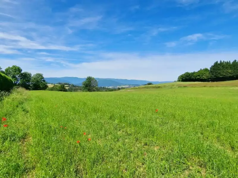 Terrain à bâtir, 695 m² - Sillingy (74330)