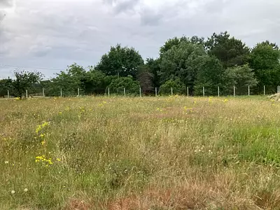 Terrain à bâtir, 900 m²