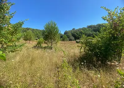 Maison neuve, 100 m²