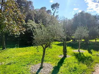 Maison neuve, 90 m²