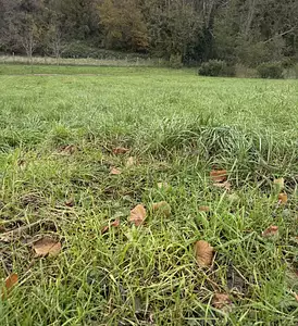 Maison neuve, 84 m²