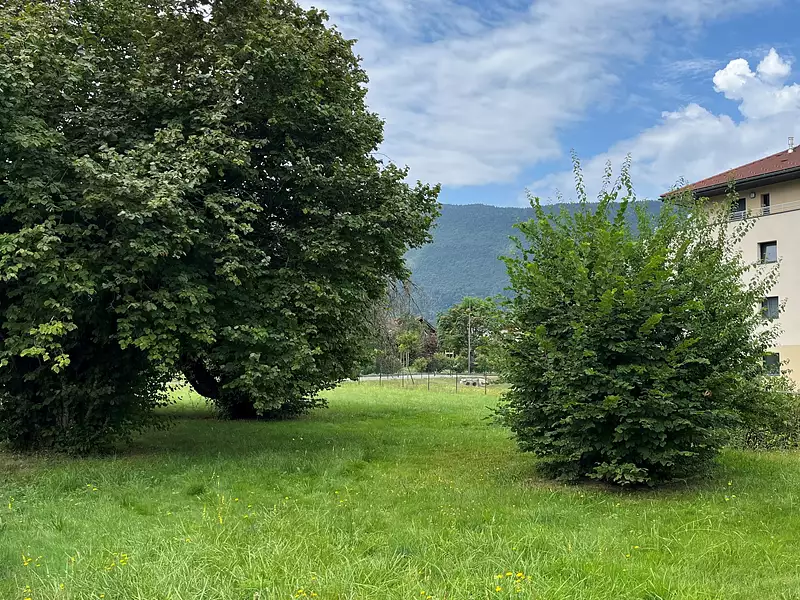 Terrain à bâtir - Saint-Jorioz (74410)