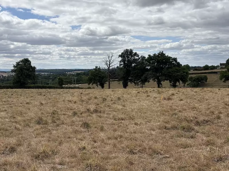 Terrain à bâtir, 1 416 m² - Saint-Vincent-Bragny (71430)