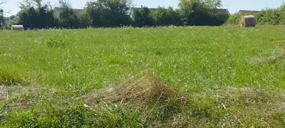 Terrain à bâtir, 4 000 m²