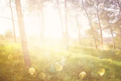 Terrain à bâtir, 324 m²