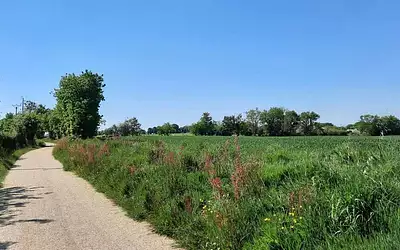 Terrain à bâtir, 438 m²