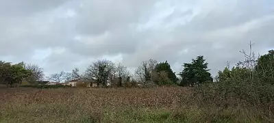 Terrain à bâtir, 1 300 m²