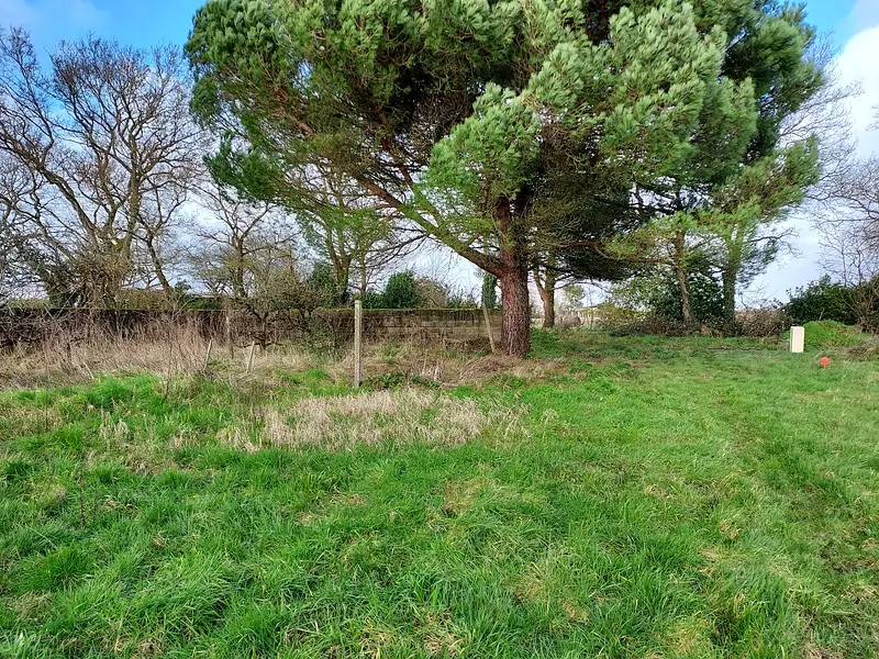 Terrain à bâtir, 515 m² - Aigrefeuille-sur-Maine (44140)