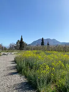 Terrain à bâtir, 702 m²