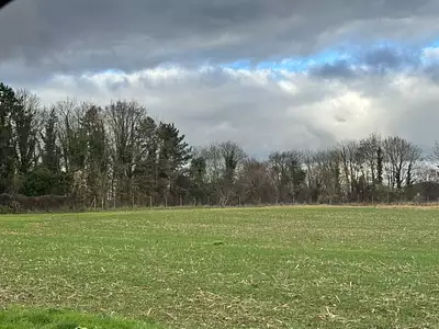 Maison neuve, 90 m²