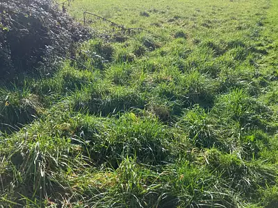 Maison neuve, 90 m²