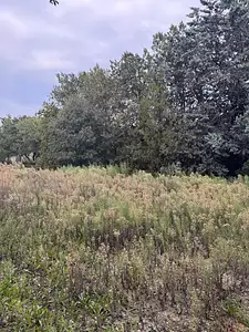 Terrain à bâtir, 1 158 m²